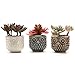 T4U Ceramic Succulent Planter Pot, Small Cactus Plant Pot Round Container Window Box Home Office Decoration Desktop Windowsill Bonsai Pots Gift Ornament for Gardener Wedding Christmas (No.01)