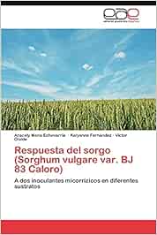 Respuesta del sorgo (Sorghum vulgare var. BJ 83 Caloro): A dos inoculantes micorrízicos en diferentes sustratos