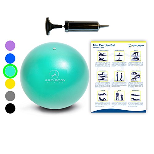 Mini Exercise Ball with Pump - 9 Inch Small Bender Ball for Stability, Barre, Pilates, Yoga, Core Training and Physical Therapy (Aqua)