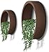 Round Hanging Wall Vase Planter for Succulents or Herbs – Beautiful Wall Decor for Air Plants, Faux Plants, Indoor Decorative Contemporary Morden Circle Iron Vase Cacti and More, Gift Box 8″H Brownthumb 1
