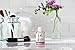 ArtNaturals Clear Skin Drying Lotion - (1 Fl Oz / 30ml) - Blemish Spot Remover Treatment for Fast Drying - Shrinks Whiteheads and Fades Out Face Blemishes