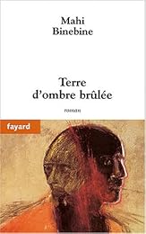Terre d'ombre brûlée