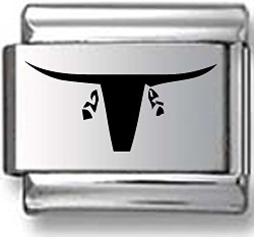 Bull Head and Feathers Black Laser Italian Charm