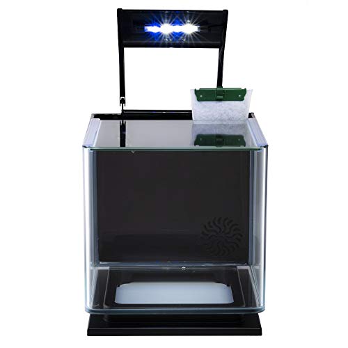 GloFish Betta Aquarium Kit - Image 6