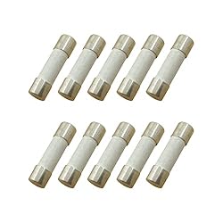 YOLISTIC (Pack of 10) 20 Amp Slow-Blow Time Delay