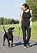 Portable Dog Water Dispenser - 20oz Pet Water Bottle Foldable Cap Walking, Jogging, Travel, Hiking