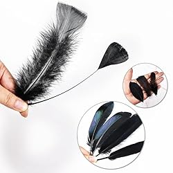 FeelfunFeather 300 pcs Black Craft Feathers- 10