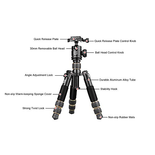 Beaspire Portable Camera Travel Tripod Folding Monopod with 360 Degree Ball Head for Canon Nikon Sony DSLR Cameras,Smartphones