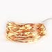 Copper Wire Lights Strings, LTROP 33ft 100 LED Solar Powered Starry String Lights, Waterproof Décor Rope Light for Seasonal Decorative Christmas Holiday, Wedding, Party- Warm White