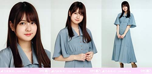 乃木坂46 年4月度月間ランダム生写真 サテンワンピ 3種コンプ 中村麗乃 人気ブランド