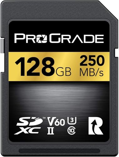SD UHS-II 128 GB Karte V60 - Schreibgeschwindigkeit bis zu 130MB/s und Lesegeschwindigkeit von 250MB/s | Für professionelle Filmemacher, Fotografen un