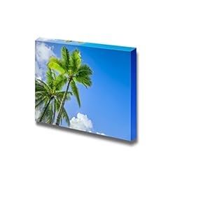 Canvas Prints Wall Art - Close Up of Palm Trees and Clouds Above The Tropical Ocean | Modern Wall Decor/Home Decoration Stretched Gallery Canvas Wrap Giclee Print. Ready to Hang - 12" x 18"