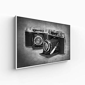 Canvas Wall Art for Living Room, Bedroom Black and White Article Framed Canvas Prints for Home Decoration Ready to Hang - 16x24 inches