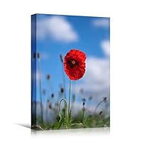 Canvas Wall Art Red Fields Bohemian Colorful Floral Group Multicolor Photography - 12x18 inches