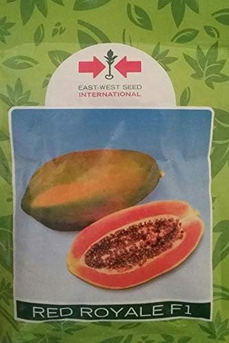 red royal east west international hybrid 1 gram seeds