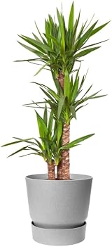 elho Greenville Round 30 Large Flower Pot with Integrated Water Reservoir view 9