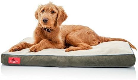 Therapeutic Dog Bed Memory Foam Deluxe Comfort in Green - Great for Dogs with Arthritis or Bone Problems - Non Skid Bottom Medium Size