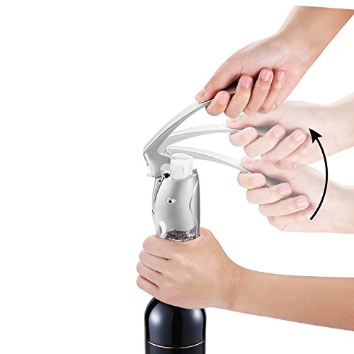 Red Wine Opener, Hi-Tech Premium Steel Corkscrew with Foil Cutter Holder and A Silicone Wine Bottle Stopper (Silver)