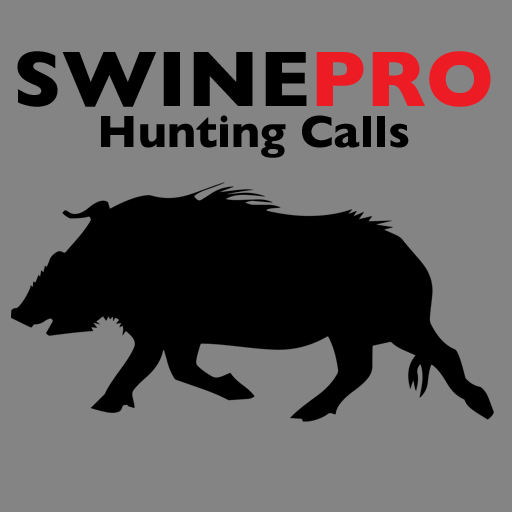 Wild Swine Calls for Hunting Swines and Hog Hunting Calls
