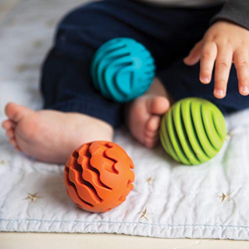 1 Fat+Brain+Toys+Sensory+Rollers