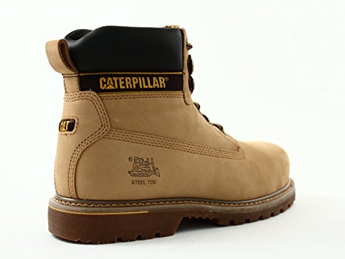 caterpillar holton sb
