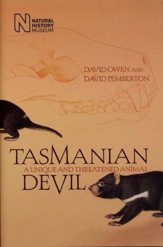 Tasmanian Devil: A Unique and Threatened Animal