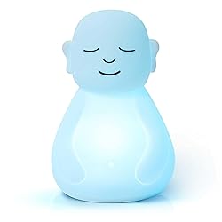 Mindsight 'Breathing Buddha' Guided Visual