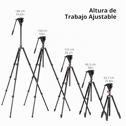 Cayer AF2451 Video Tripod, Aluminum Alloy Video Camera Tripod 74 Inch for Canon Nikon Sony Olympus Panasonic Digital SLR Camera