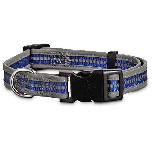 Good2Go Reflective Adjustable Dog Collar in Blue, Medium