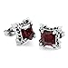 INBLUE Men's Stainless Steel Stud Earrings CZ Silver Tone Black Red Dragon Claw Square