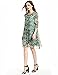 DanMunier Women's 3/4 Sleeve Floral Chiffon Print Shift Dress…