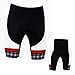 WOLFBIKE Men's Cycling Short Sleeve Jersey, OR Jersey + 3D Padded Shorts Set (British Wind, US S/CN L)