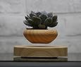 Levitating Air Bonsai Pot - Magnetic Levitation Suspension flower and air bonsai pot