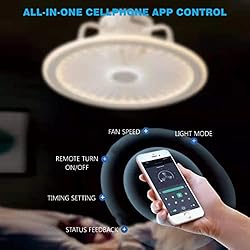 CHANFOK Low Profile Ceiling Fan with Lights, Modern