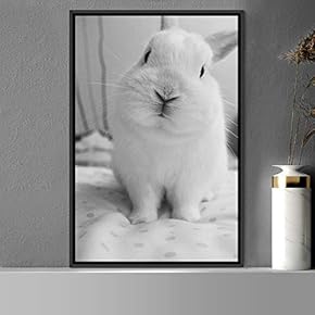 signwin Framed Canvas Wall Art Duotone Bunny Animals...