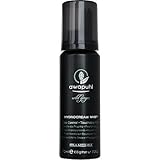 Paul Mitchell Awapuhi Wild Ginger Hydrocream Whip 2.3 oz