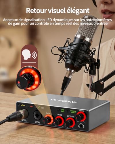 PIYONE 2x2 USB Audio Interface, 24bit/192kHz Studio Sound Card for PC/Mac/iOS, Recording, Podcast, XLR/TRS Input, 48V Phantom, Loopback, Zero Latency Monitoring (Alloy Grey)
