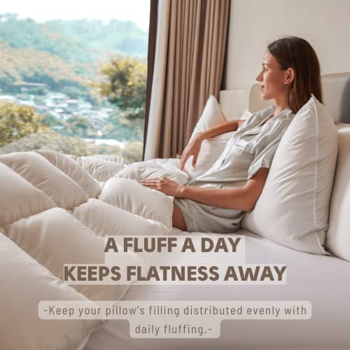 baisihan OverCloud™ Goose Down Pillows, Down Pillow for Stomach Sleeper