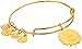 Alex and Ani Daisy Shiny Gold Bangle Bracelet