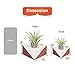 Air Plant Holder, 2 Pack Tillandsia Holder Triangle Geometric Planter Air Plant Holders Container Tabletop Display Stand Vase Pot with Magnet for Hanging Small Air Plants Indoor Wall Home Decor