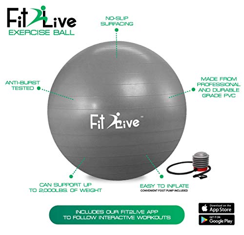 Fit2Live Exercise Ball for Yoga,Stability,Fitness,+ Free Resistance Bands, 2 in 1 Exercise Package- Anti Burst Quality - Includes Foot Pump and Access to Our APP for Workout Videos.