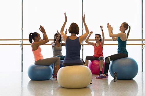 GAVAN 65cm Exercise Ball, for Fitness, Stability, Balance & Yoga - 2000LBS Anti Burst Professional Quality Design - Quick Pump Included, Blue - Thumbnail 2