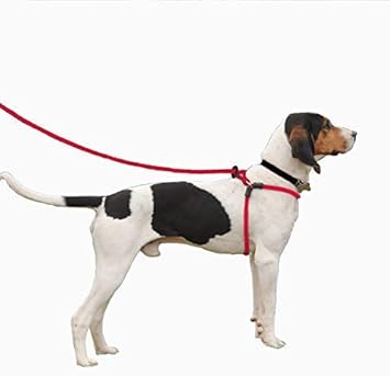 rope leash harness