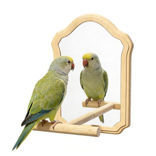 YOETSPDS Bird Mirror Perch