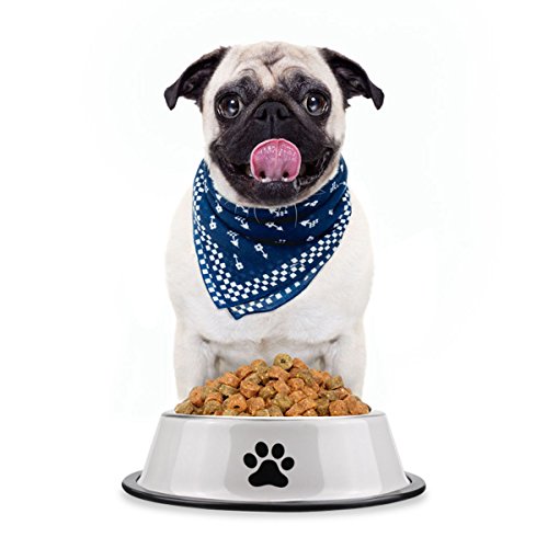 Comsmart Large Stainless Steel Cute Cat Dog Dish Bowls with Non-skid Base Safe for Dishwasher Cleaning 12 Ounces (2 Pack)