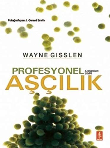 profesyonel ascilik wayne gisslen 9786059746939 amazon com books