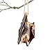 Collections Etc Halloween Hanging Swinging Bat with Realistic Details