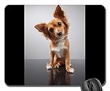 Gaming Mouse Pads,Mouse mat,Dog Animal Pets Nature