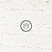 Headcote White Fascia Screws No. 9 X 1-7/8 in. L Stainless Steel Torx 100 Pack