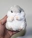 AQUESOUSLY Women's Hamster Plush Key Chain,4.7